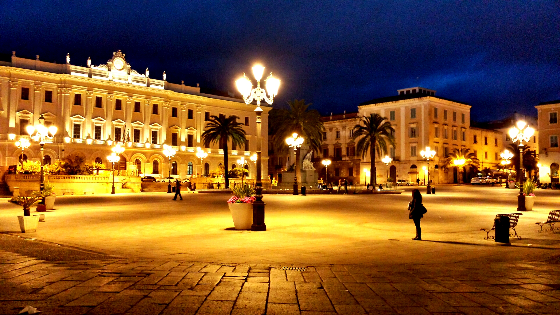 sassari - Sarvex